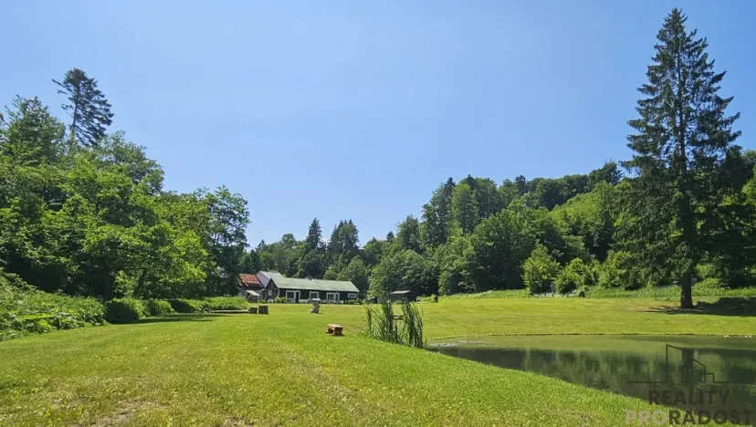 Prodej chaty, Zábřeh - Dolní Bušínov, 600 m2