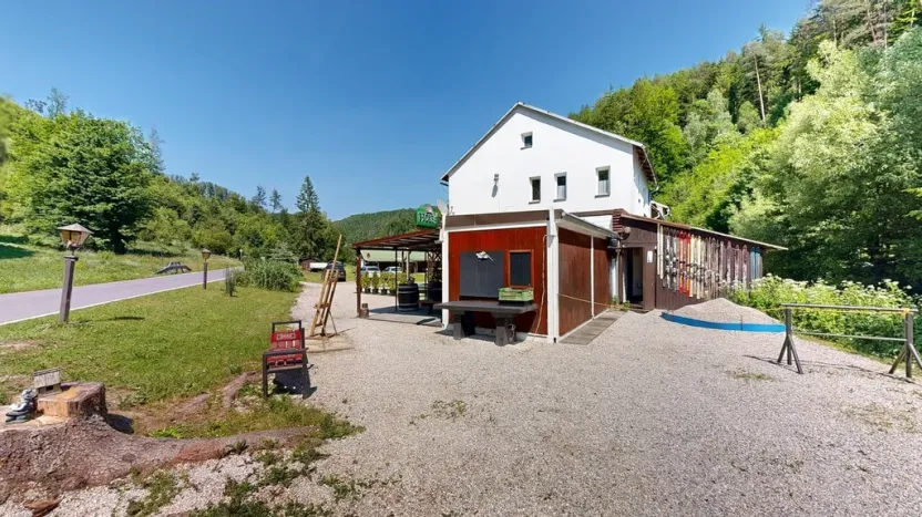 Prodej chaty, Zábřeh - Dolní Bušínov, 552 m2