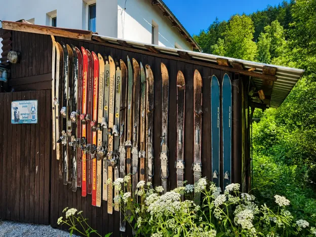Prodej chaty, Zábřeh - Dolní Bušínov, 552 m2