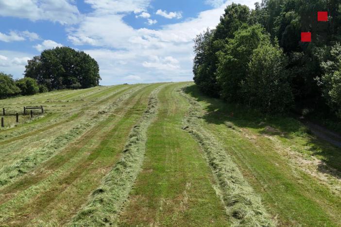 Prodej pozemku pro bydlení, Křižany - Žibřidice, 4464 m2