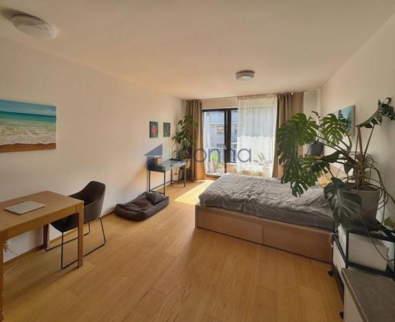 Pronájem bytu 1+kk, Praha, K Beranovu, 38 m2