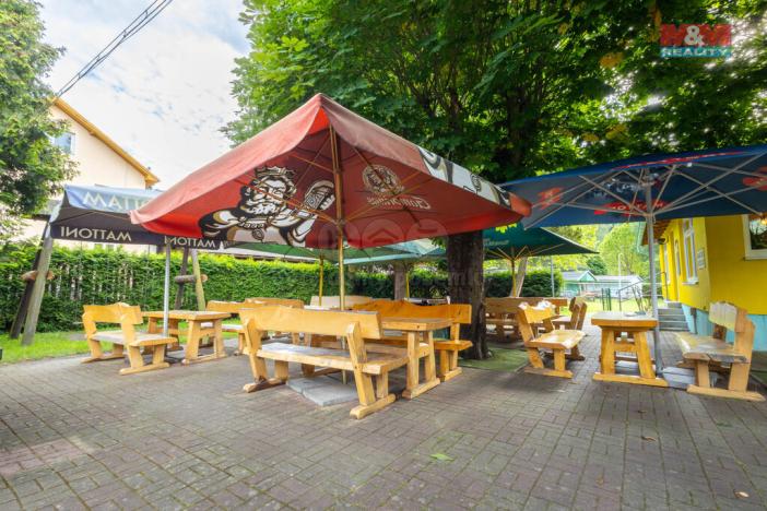 Prodej restaurace, Kyselka - Radošov, 15771 m2