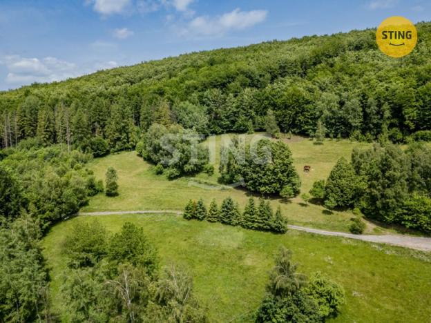 Prodej pozemku pro bydlení, Bystřice, 22090 m2