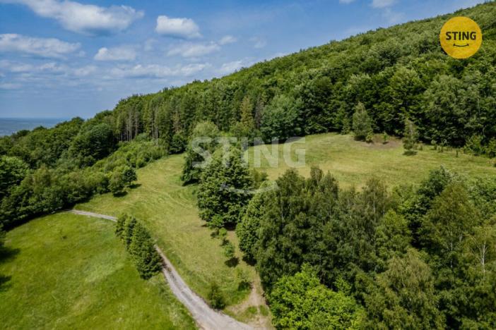 Prodej pozemku pro bydlení, Bystřice, 22090 m2