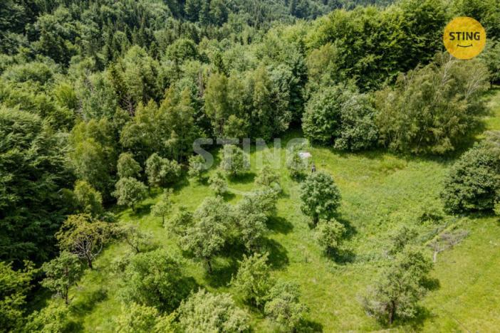 Prodej pozemku pro bydlení, Bystřice, 22090 m2