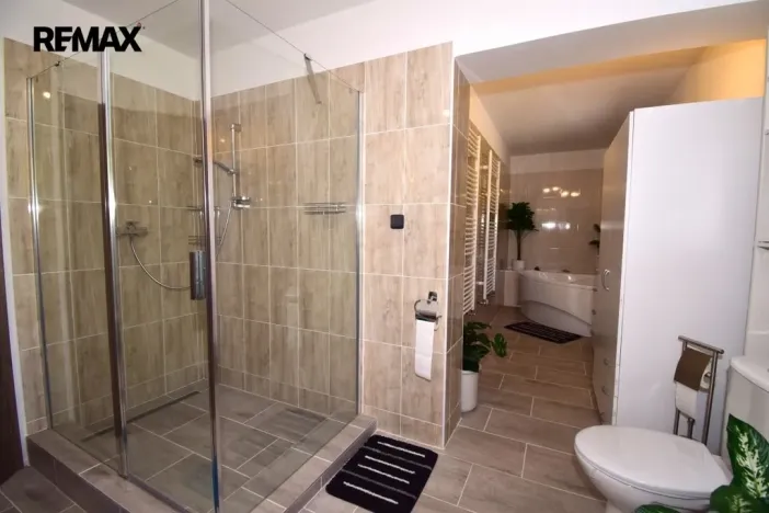 Prodej vícegeneračního domu, Protivín - Myšenec, 190 m2