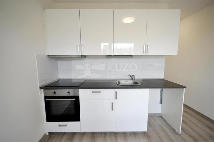 Pronájem bytu 1+1, Chomutov, Kostnická, 35 m2