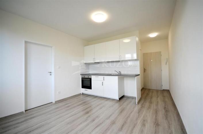 Pronájem bytu 1+1, Chomutov, Kostnická, 35 m2