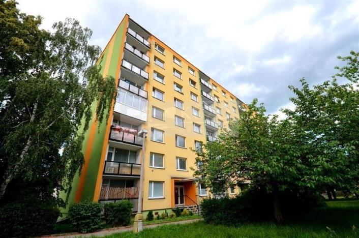 Pronájem bytu 1+1, Chomutov, Kostnická, 35 m2