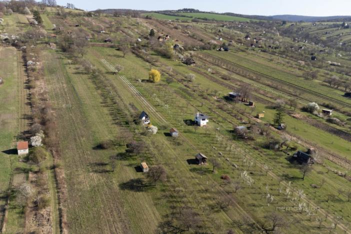 Prodej sadu/vinice, Strážnice, 4353 m2