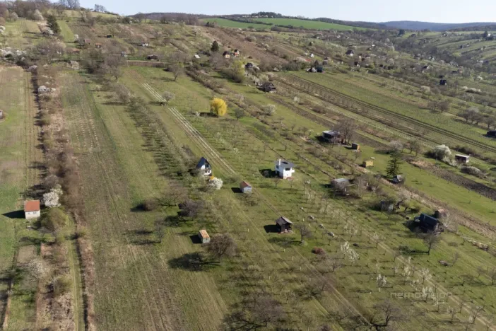 Prodej sadu/vinice, Strážnice, 4353 m2