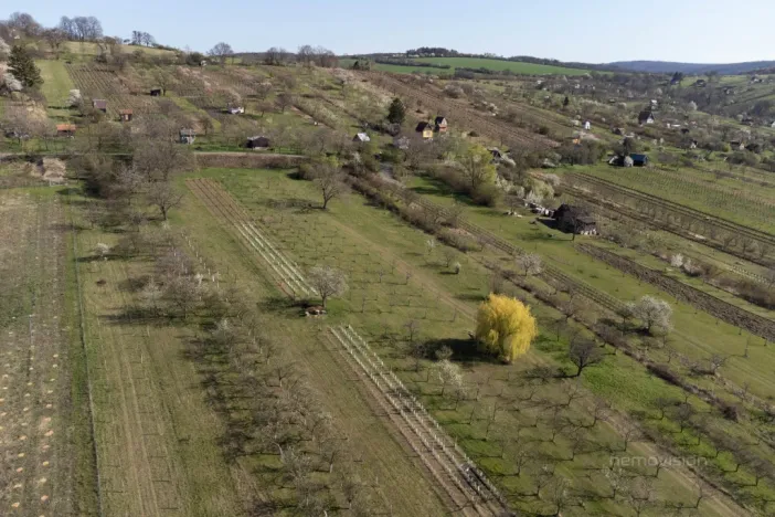 Prodej sadu/vinice, Strážnice, 4353 m2