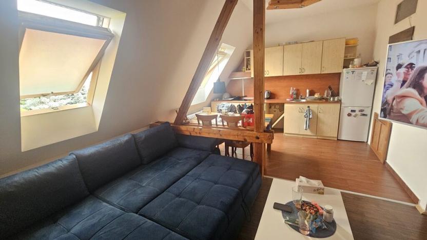 Prodej činžovního domu, Ústí nad Labem, Sukova, 400 m2