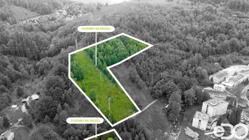 Prodej komerčního pozemku, Desná - Desná I, 14182 m2