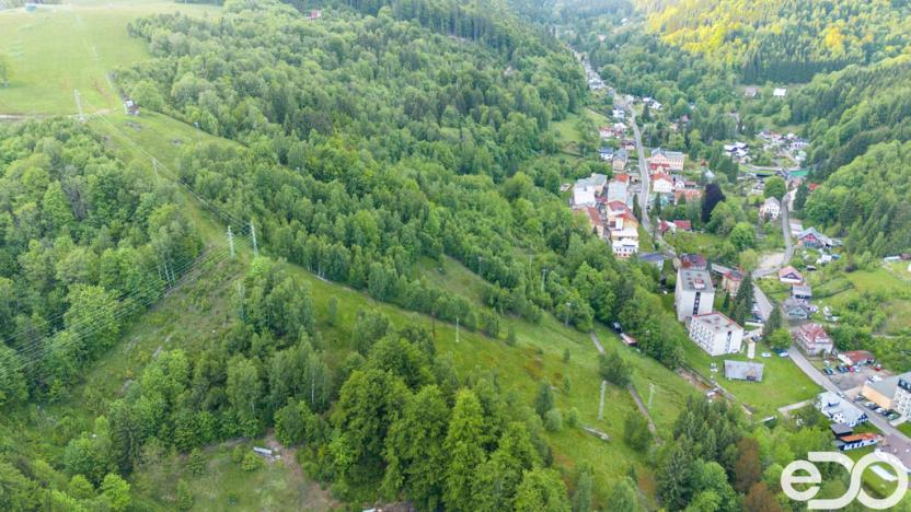 Prodej komerčního pozemku, Desná - Desná I, 14182 m2