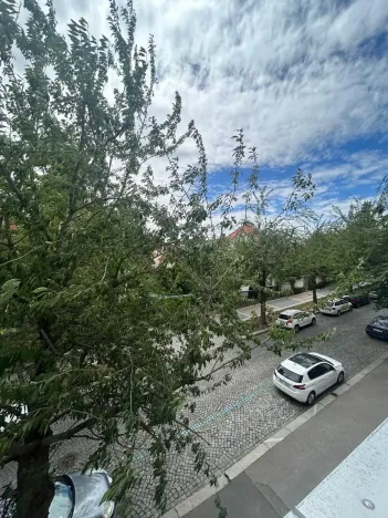 Pronájem bytu 1+kk, Praha - Vinohrady, Soběslavská, 30 m2