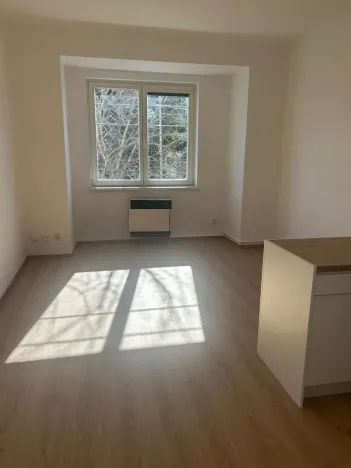 Pronájem bytu 1+kk, Praha - Vinohrady, Soběslavská, 30 m2