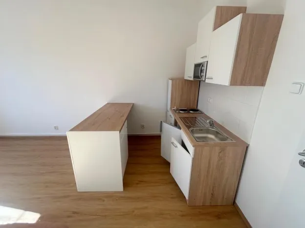 Pronájem bytu 1+kk, Praha - Vinohrady, Soběslavská, 30 m2