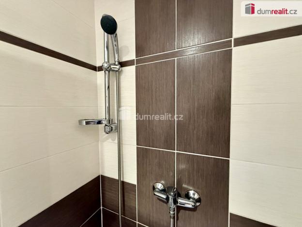 Pronájem bytu 3+kk, Vítkovice, 74 m2