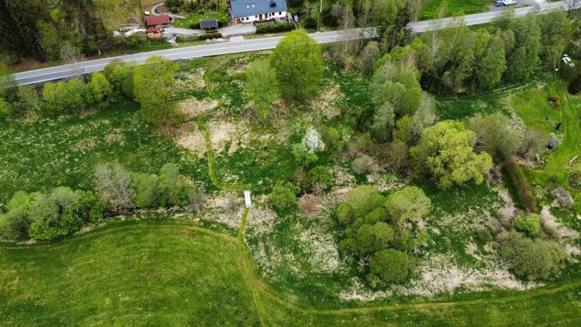 Prodej komerčního pozemku, Horní Vltavice, 14058 m2