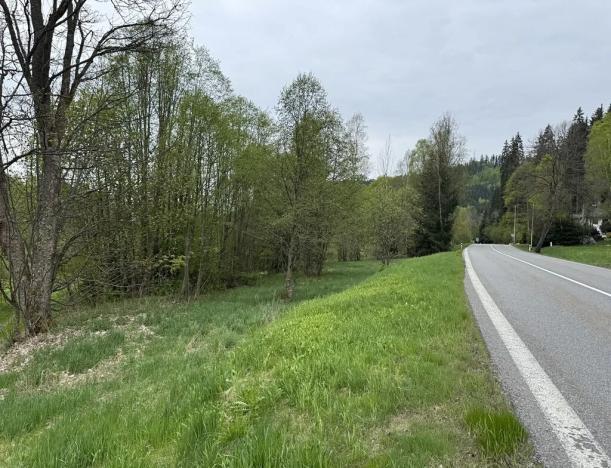 Prodej pozemku pro bydlení, Horní Vltavice, 7500 m2