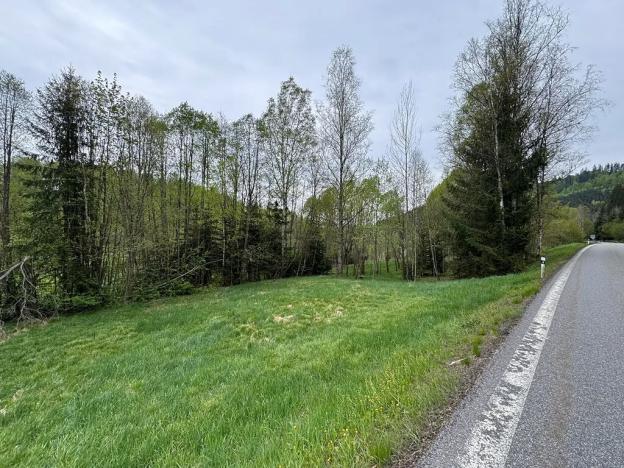 Prodej pozemku pro bydlení, Horní Vltavice, 7500 m2