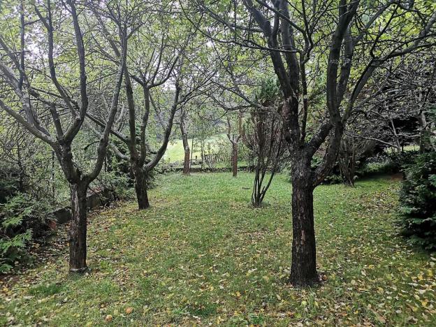 Prodej chalupy, Vacov, 250 m2