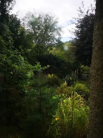 Prodej chalupy, Vacov, 250 m2