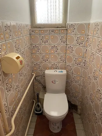 Prodej rodinného domu, Čestice, 260 m2