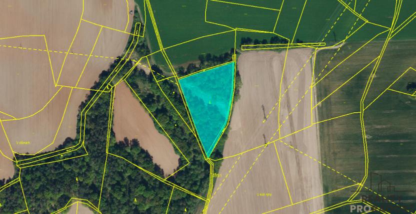 Prodej lesa, Lázně Bohdaneč, 7167 m2