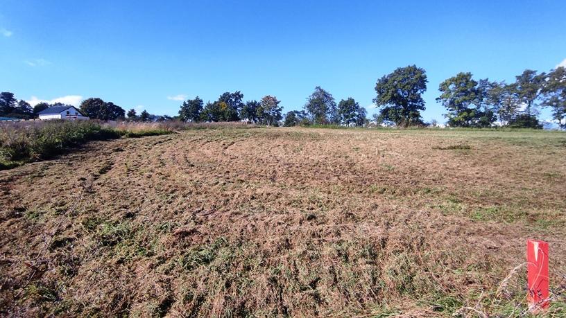 Prodej pozemku pro bydlení, Postupice, 2099 m2