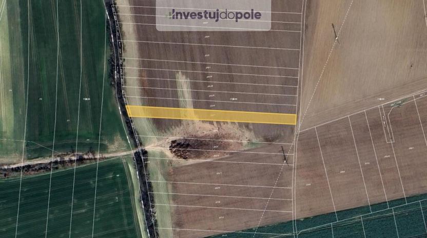 Prodej pole, Pardubice - Mnětice, 2938 m2