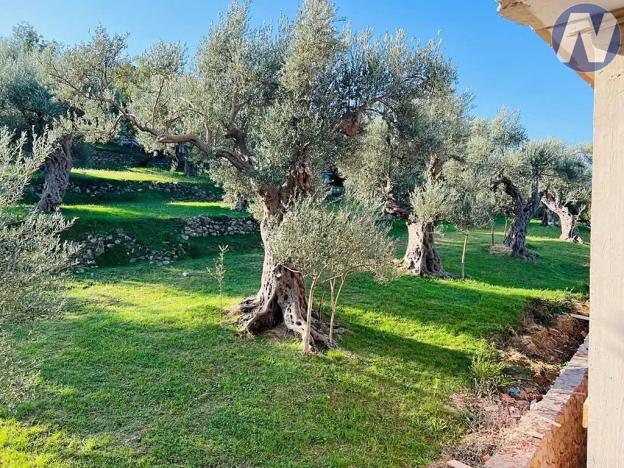 Prodej vily, Bar, Černá Hora, 173 m2