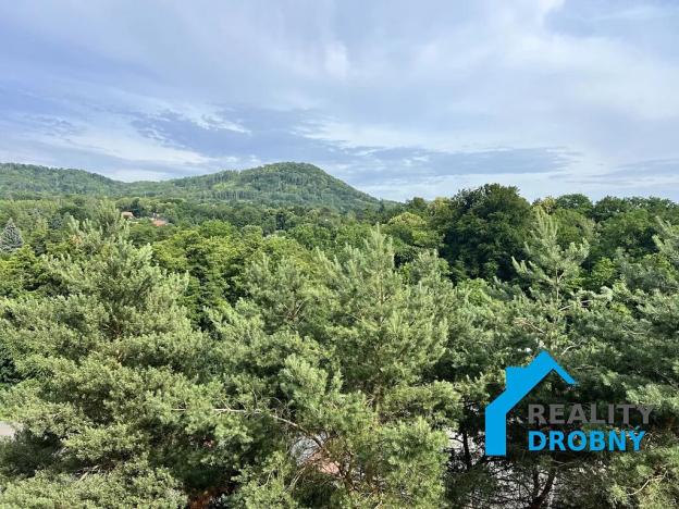 Pronájem bytu 2+1, Děčín, Kamenická, 50 m2