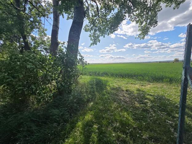 Prodej lesa, Cvrčovice, 4746 m2