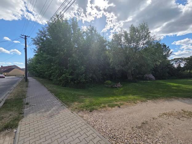 Prodej lesa, Cvrčovice, 4746 m2