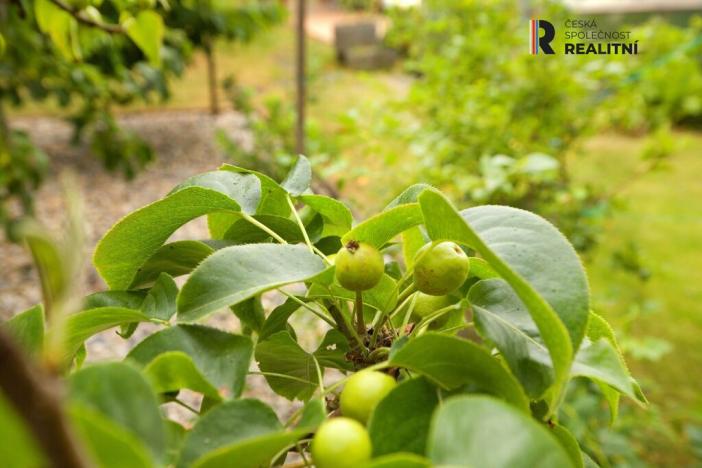 Prodej rodinného domu, Podbořany, Švermova, 157 m2