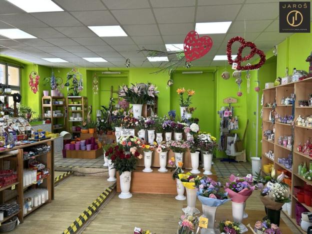 Prodej rodinného domu, Slaný, Palackého, 633 m2