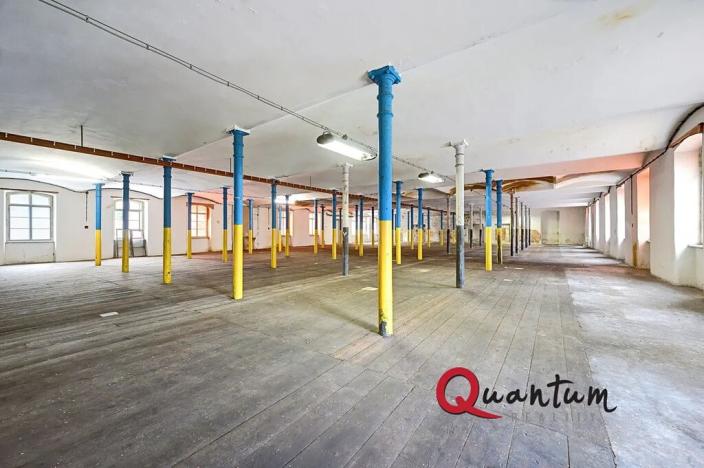 Prodej obchodního prostoru, Janská, 4600 m2