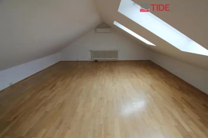 Pronájem bytu 6+kk a větší, Praha - Braník, Psohlavců, 290 m2