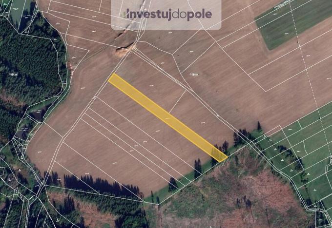 Prodej pole, Kamenice nad Lipou - Vodná, 6113 m2