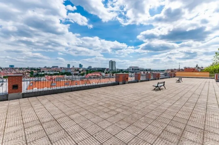 Prodej bytu 2+kk, Praha - Vinohrady, U Zvonařky, 116 m2