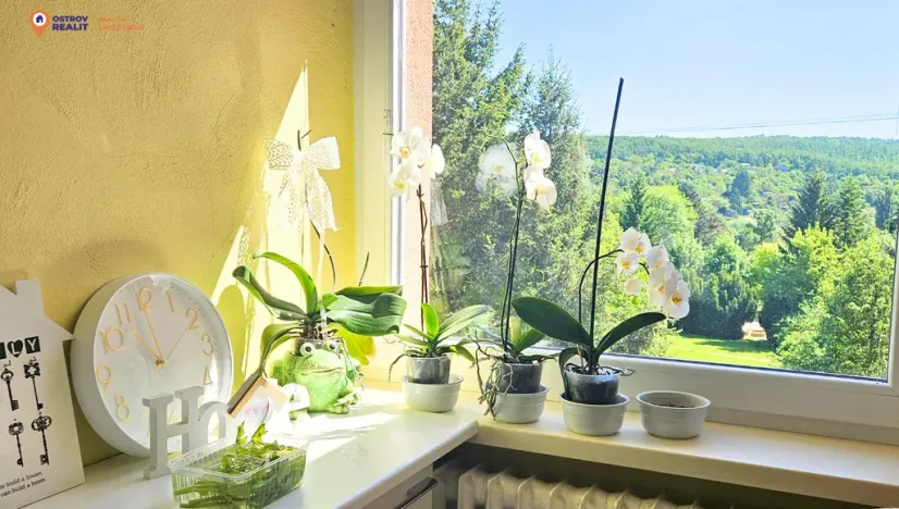 Prodej bytu 2+1, Brno, Kunštátská, 58 m2