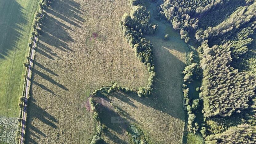 Prodej louky, Rožmitál na Šumavě, 52665 m2