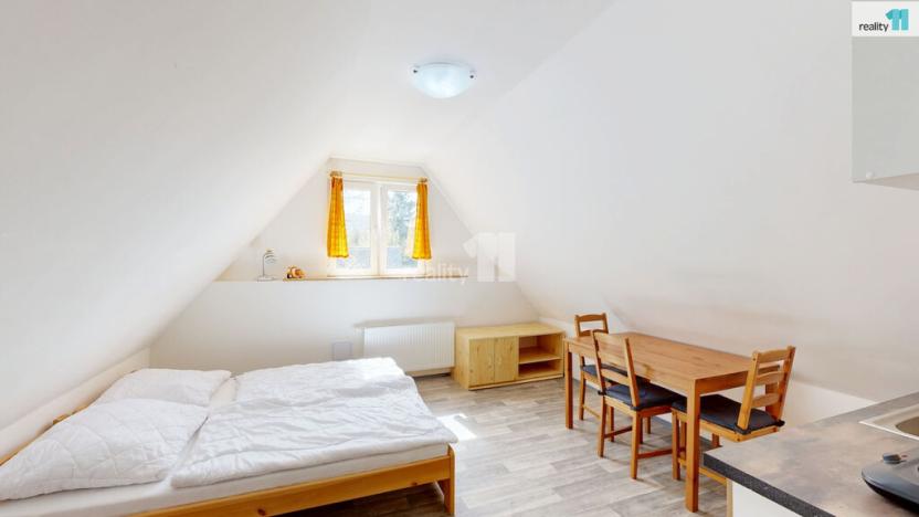 Prodej ubytování, Loučná pod Klínovcem - Loučná, 370 m2