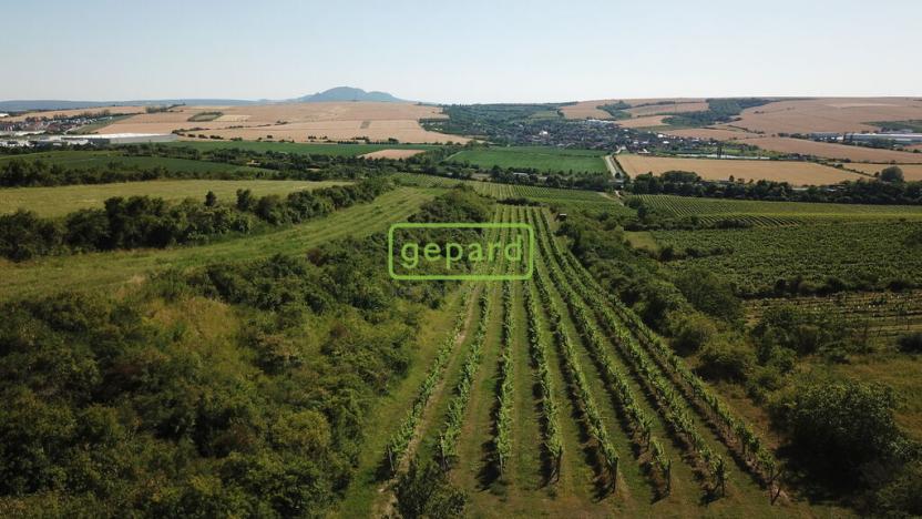 Prodej sadu/vinice, Starovice, 2166 m2