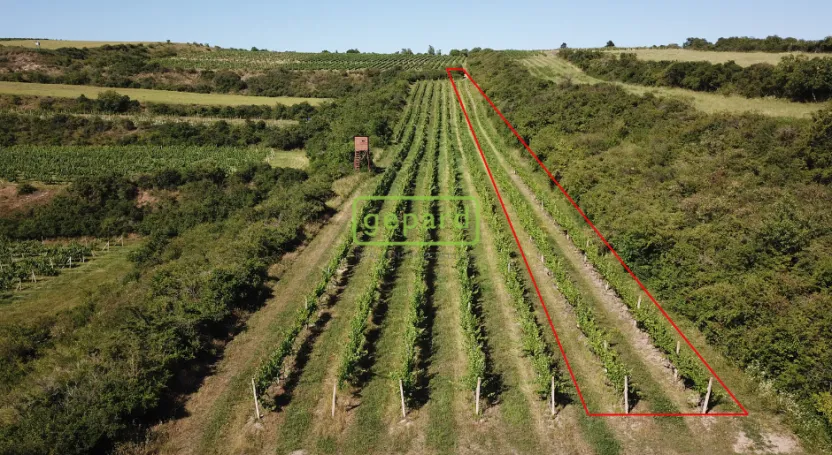 Prodej sadu/vinice, Starovice, 2166 m2