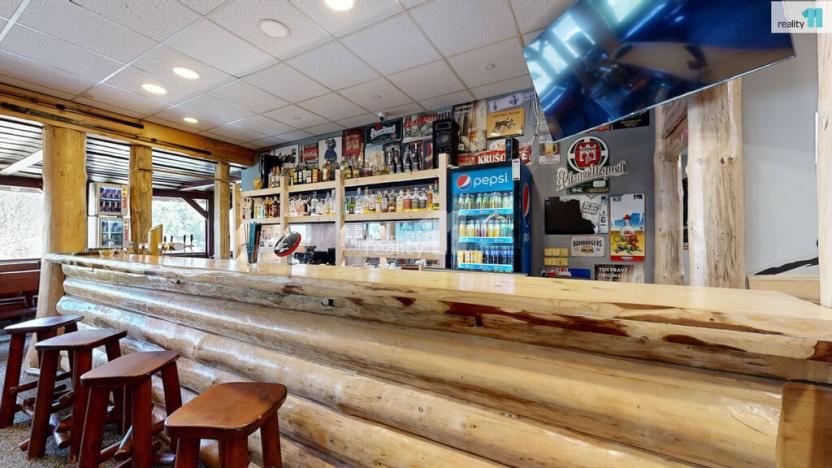 Prodej ubytování, Loučná pod Klínovcem - Loučná, 229 m2