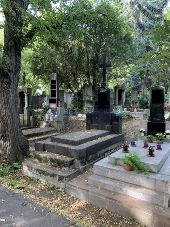 Prodej - jiné, Praha, Vinohradská, 5 m2