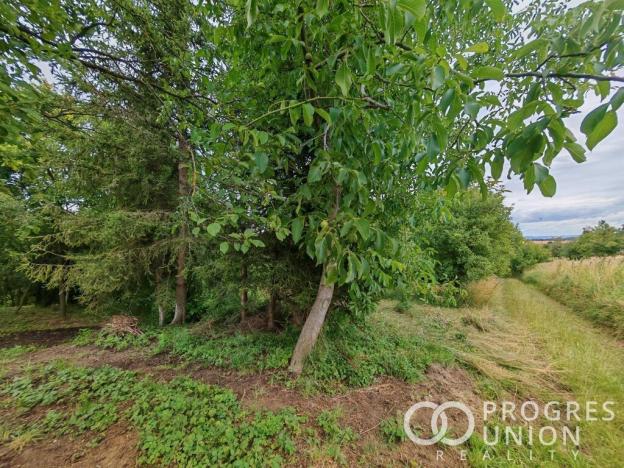 Prodej rodinného domu, Rataje, 160 m2